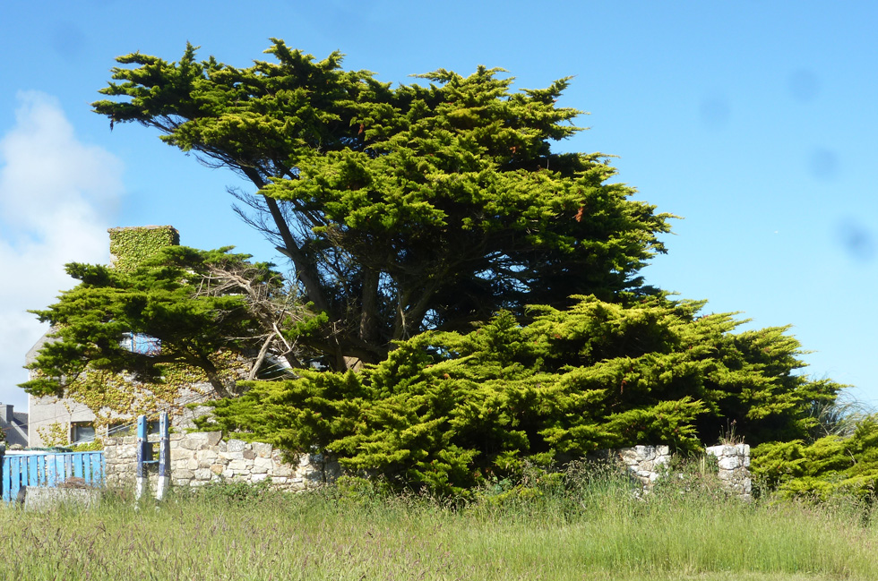 Ouessant